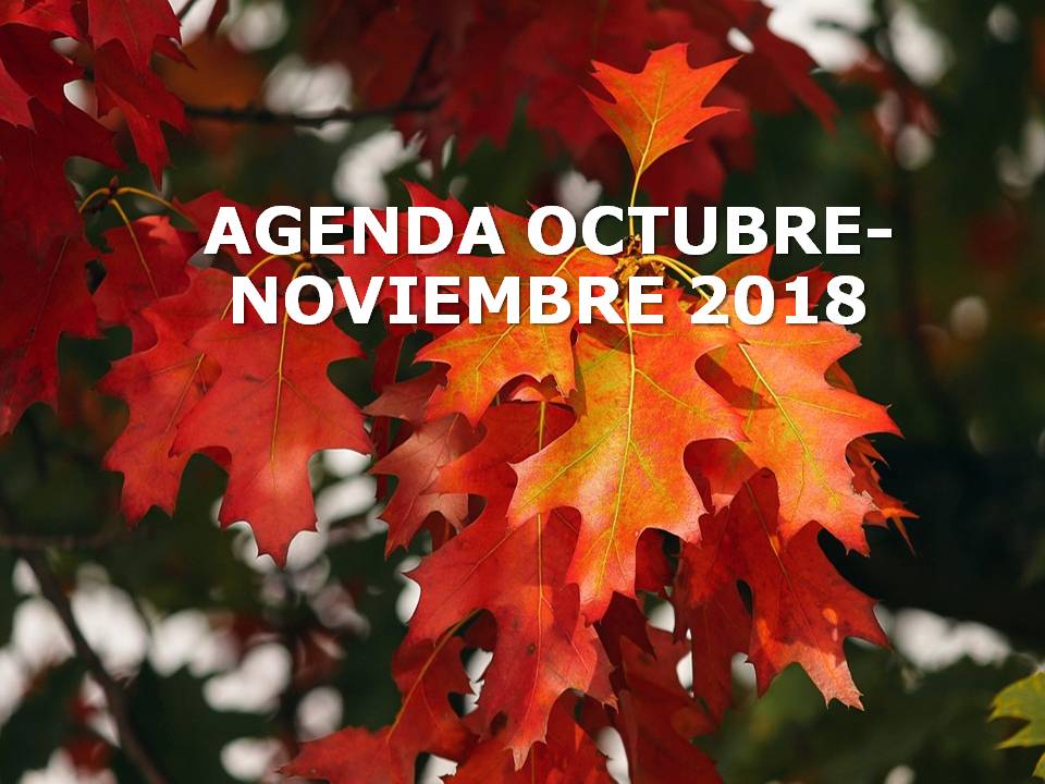 AGENDA OCTUBRE-NOVIEMBRE 2018. Dra. Juani Mesa Expósito